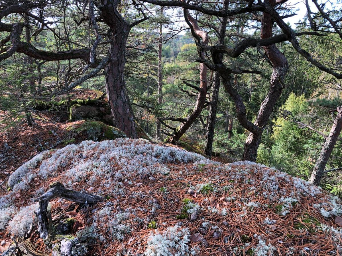 Mysig Och Modern Stuga Pa Snoegard, Naera Havet Och Naturen Lur  Εξωτερικό φωτογραφία