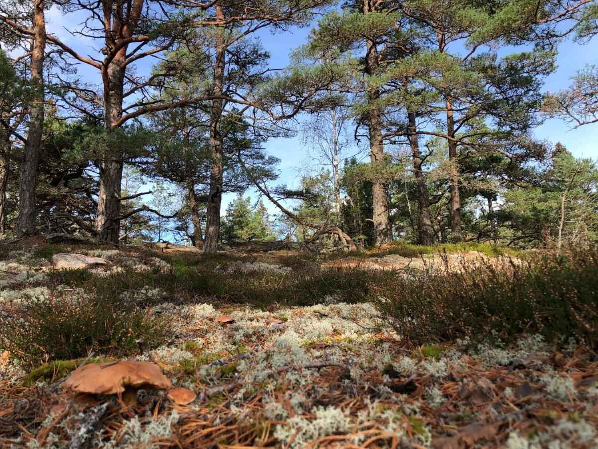 Mysig Och Modern Stuga Pa Snoegard, Naera Havet Och Naturen Lur  Εξωτερικό φωτογραφία