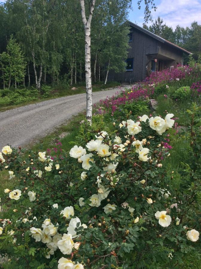 Mysig Och Modern Stuga Pa Snoegard, Naera Havet Och Naturen Lur  Εξωτερικό φωτογραφία